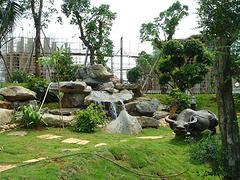 ?？诤Ｄ蠄@林景觀專業供應商|昌江園林景觀哪家好圖片|?？诤Ｄ蠄@林景觀專業供應商|昌江園林景觀哪家好產品圖片由?？诹謳Z造園藝術工程公司生產提供-