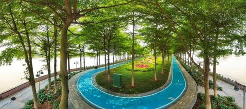 院士領銜,廣州以 繡花功夫 打造城市精品工程