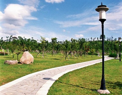 義烏市實驗小學(xué)園林綠化與景觀工程建設(shè) 打造生態(tài)教育新典范