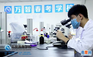 歷城影視傳媒的技術開發與創新探索