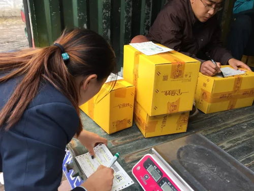 電商賦能太行百歲品牌，助力初級農產品收購新篇章