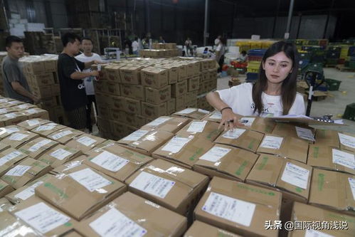 破繭新生 中國十六年農業布局，初級農產品收購迎來歷史性變革