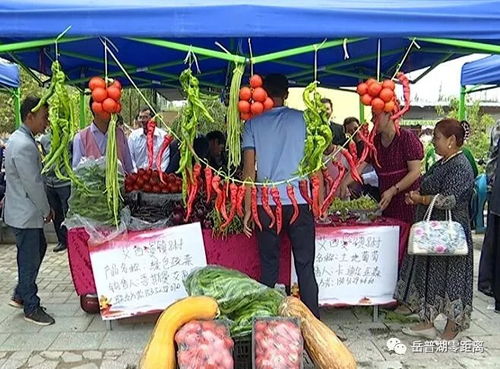 農副產品促銷會 激發市場活力，助力脫貧攻堅與初級農產品收購