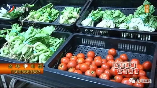 為農戶排憂解難 茂名市農業農村局緊急啟動農產品一對一對接機制，力保初級農產品收購暢通無阻
